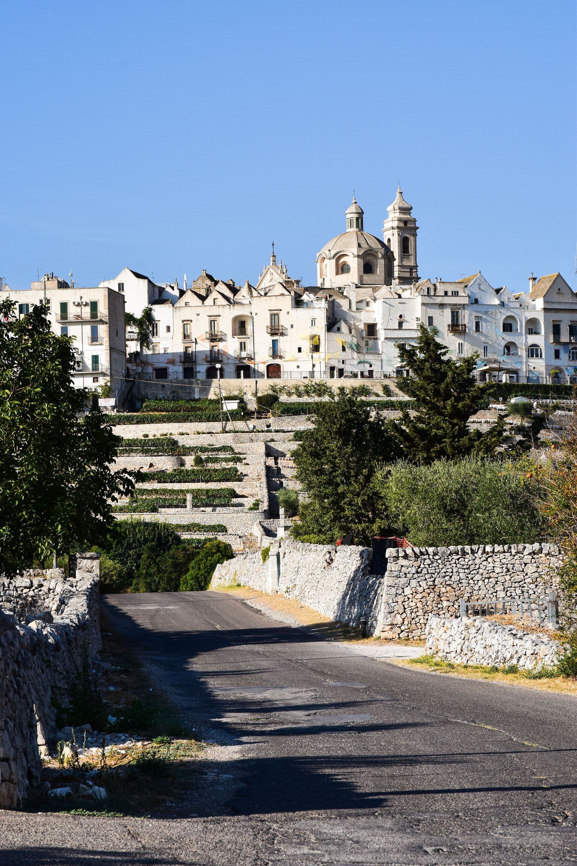 Panorama del borgo di Locorotondo